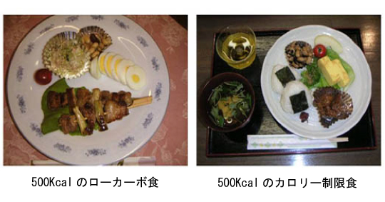 500kcal_meals1.jpg